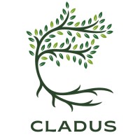 Cladus Consultech LLP logo - Similar company to Deepak Rao & Co