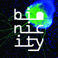 Bionicity