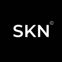 SKN computation logo - Similar company to Skn