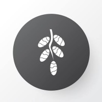 Just Dates logo - Similar company to Fruit-Eze, Inc.