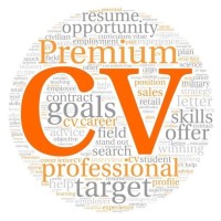 CV Writing Services logo - Similar company to Pcvw | Job Search - Linkedin - Cv Writing