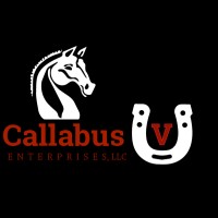 Callabus V LLC logo - Similar company to Enso Equestrian