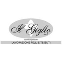 Il Giglio Srl logo - Similar company to Mecstore - Edilverde Srl