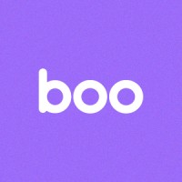 Boomerang logo - Similar company to Nzero