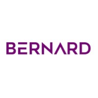 Bernard Consultancy Services logo - Similar company to Rocket Batteries India Private Limited