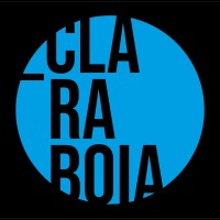 Claraboia ST logo - Similar company to Iz Comm