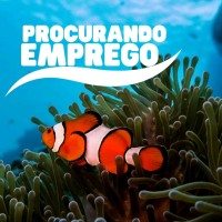 Procurando Emprego logo - Similar company to Procurando Emprego
