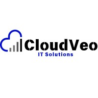 CloudVeo Solutions logo - Similar company to Lnx Inc