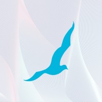 Seagull Advertising logo - Similar company to Talkd