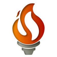 Safe & Strong Business Consultants Pvt Ltd logo - Similar company to Ziearah Group