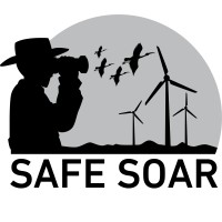 Safe Soar logo - Similar company to Nature Conservation Egypt (Nce)