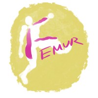 Femur logo - Similar company to Wordpress Coruña