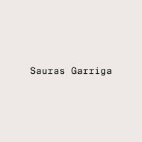 Sauras Garriga logo - Similar company to Perf