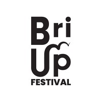 BriUp logo - Similar company to Pnsix