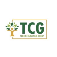 Tedor Consulting Group logo - Similar company to Vendex International Trading Co