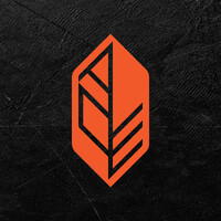 ACE FOODS (Thien Vuong Foods Joint Stock Company) logo - Similar company to Malo - Networking