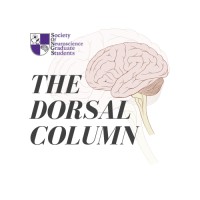 The Dorsal Column logo - Similar company to Science Rendezvous