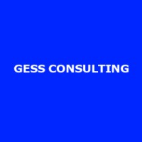 Gess Consulting logo - Similar company to Lwf Chad