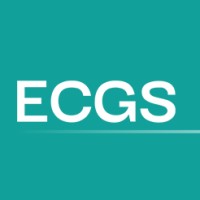 ECGS Beratungen logo - Similar company to Ecgs, Llc