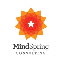 MindSpring Consulting logo - Similar company to Aim Foundation India