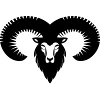 Kasit studio logo - Similar company to Bfk Warzone