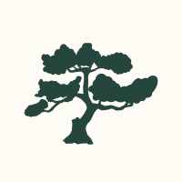 Bonsai Social logo - Similar company to The Low Code Cto