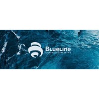 Blue Line Urban Engineering S.R.L. logo - Similar company to Blue Urban