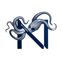 Netfia.com logo - Similar company to Studio Kontent