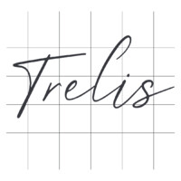 Trelis logo - Similar company to Carbon 6