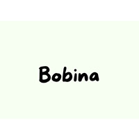 Bobina.AI logo - Similar company to Guander