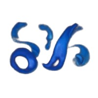Joerg Blumtritt Consulting