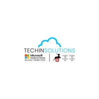 Techin Solutions logo - Similar company to Netcode