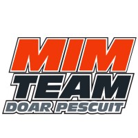 MimTeam logo - Similar company to Echo Buildings Engineering