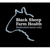 Black Sheep Farm Health logo - Similar company to Shepton Veterinary Group Ltd