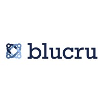 BluCruPH Inc logo - Similar company to Nton