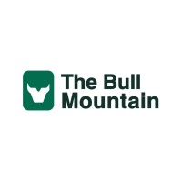 THE BULL MOUNTAIN S.A. logo - Similar company to Um Logistics India Private Limited