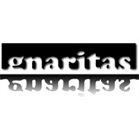 gnaritas Solutions logo - Similar company to Gnaritas Sistemas