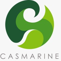 CASMarine logo - Similar company to Ieee Bakırçay Student Branch