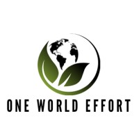 ONE WORLD EFFORT logo - Similar company to Ecom With Jon