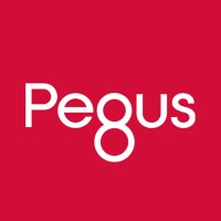 Pegus Bookkeeping logo - Similar company to Bookkeeping.Solutions