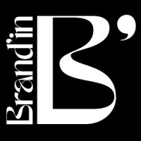Brand'in logo - Similar company to Brandin