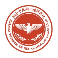 XieHe logo - Similar company to Trinity Diagnostics Ltd