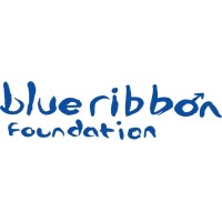 Blue Ribbon Foundation logo - Similar company to Boys To Men Foundation