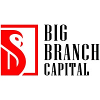 Big Branch Capital LLC logo - Similar company to Katrix Llc