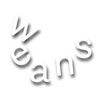 The Design Weans logo - Similar company to Studio Texture