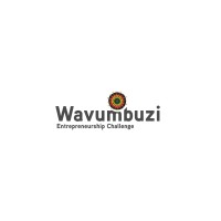 Wavumbuzi Entrepreneurship Challenge Africa logo - Similar company to Afrinext Ventures