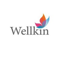 Wellkin logo - Similar company to Wellkin Child & Youth Mental Wellness