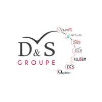 Groupe D&S logo - Similar company to Cleanuc