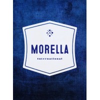 MORELLA INTERNATIONAL SCHOOL logo - Similar company to Childfirst Pre-School
