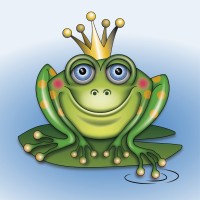 Froga logo - Similar company to Immoricon